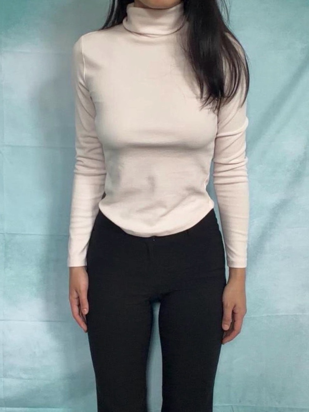 Aritzia Turtleneck Top
